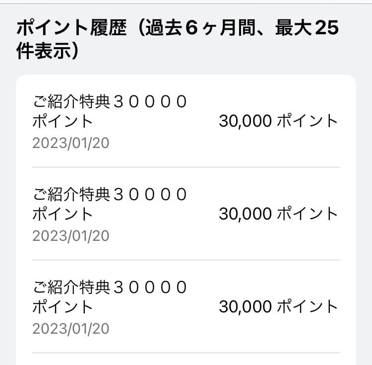 ポイント履歴（過去6か月間、最大25件表示）